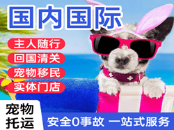 揭阳空运地址国际宠物托运 【国